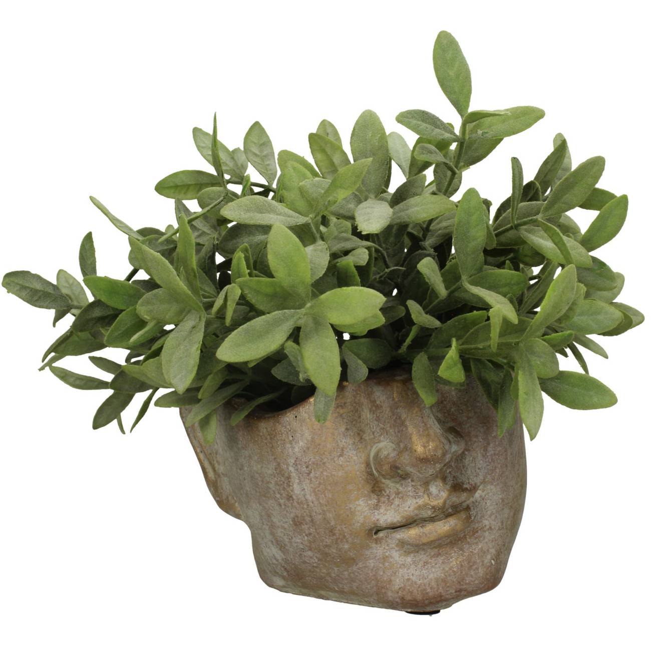 Apollo Face Small 17cm Planter